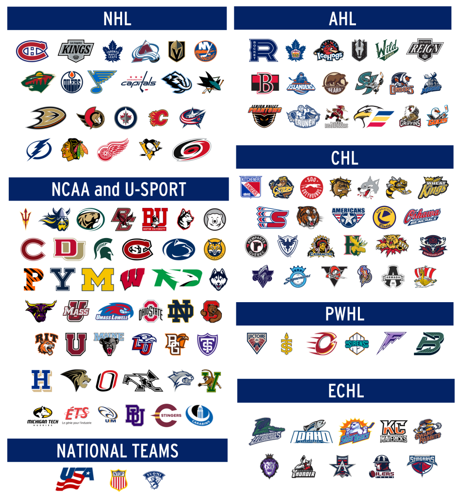 Professional teams powered by Elite